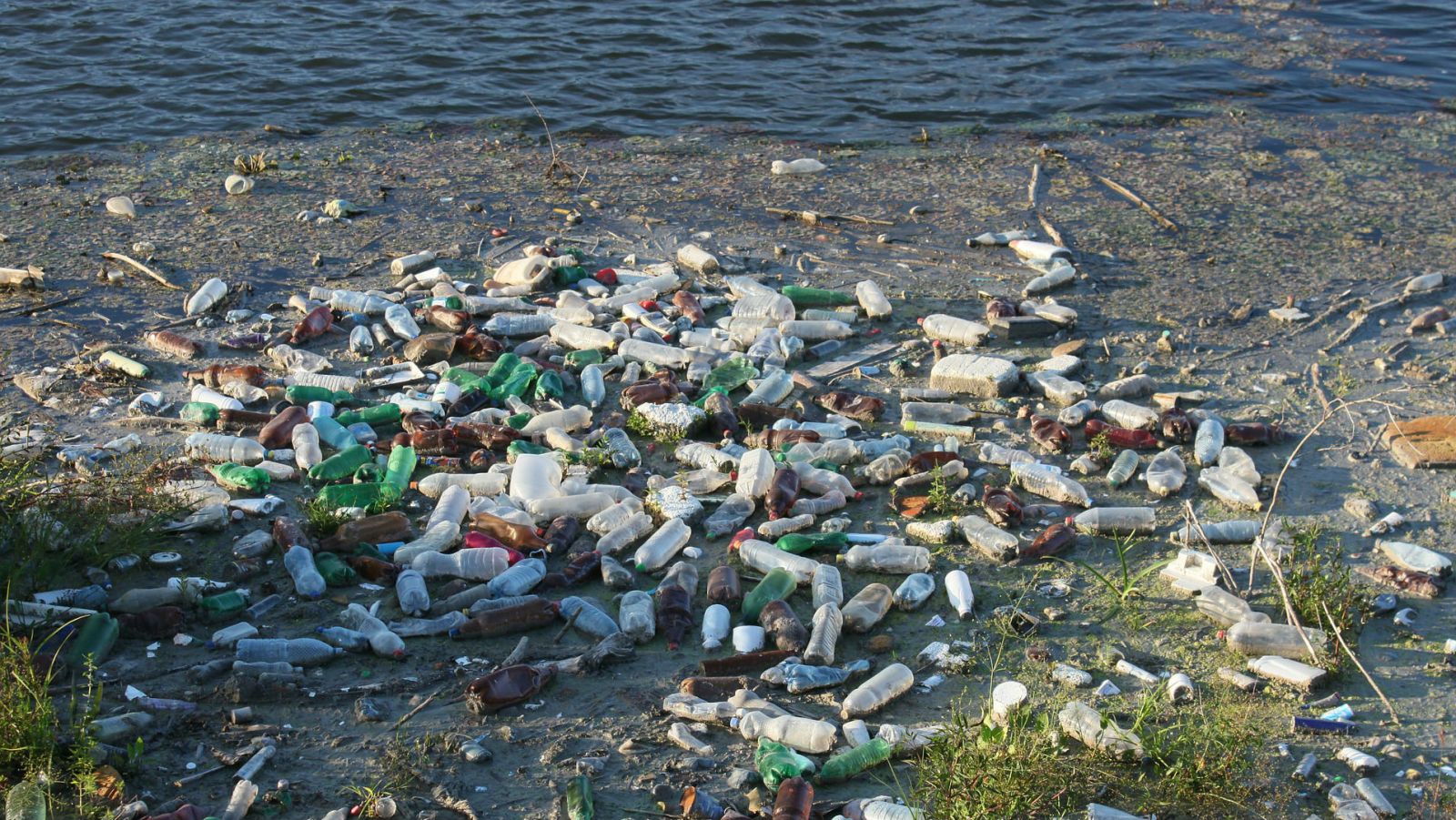 Just Ten Rivers Contribute Most Plastic Pollution